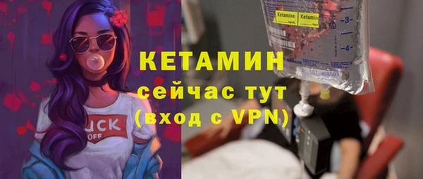 стаф Гусев
