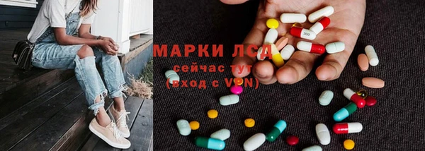 стаф Гусев