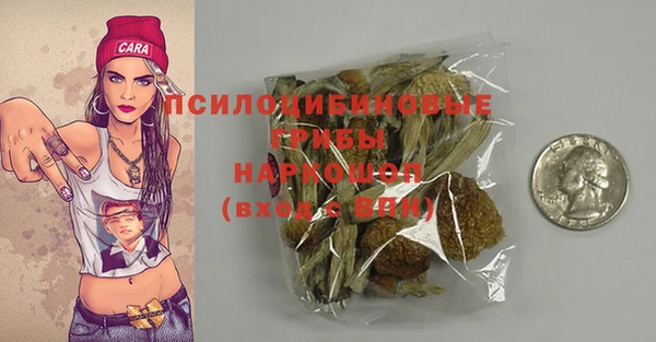 стаф Гусев