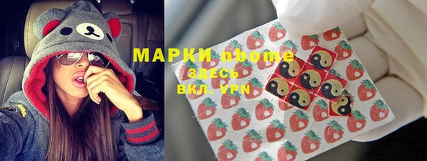 стаф Гусев